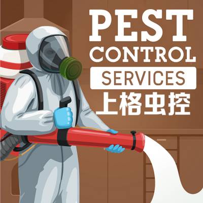 上海上门消灭虫鼠服务怎么收费 灭老鼠服务谁家好 跳蚤驱除