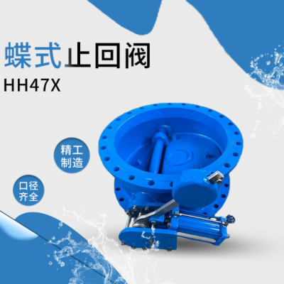 不锈钢微阻缓闭止回阀 水力控制阀法兰防倒流水锤阀 HH47X-16P DN250