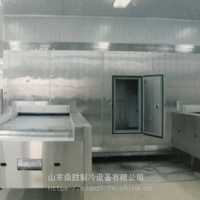 供应鼎胜DS-GBS-300钢板带速冻机（钢板带速冻隧道，钢板带单冻机）