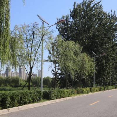 80瓦太阳能路灯 高亮低光衰 新农村建设路灯