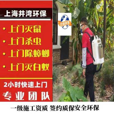 上海七宝镇消毒公司 消杀除四害灭老鼠 闵行区灭蟑螂灭蚊蝇电话