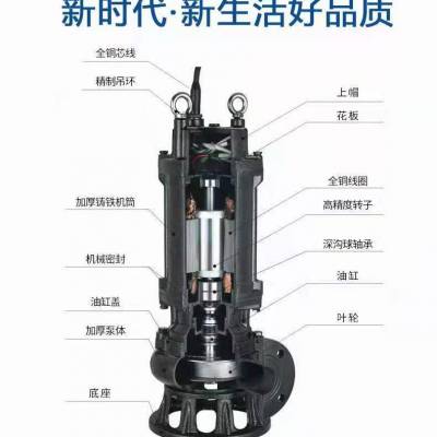 口径DN300耦合式潜水排污泵 污水处理厂用 可按需定制