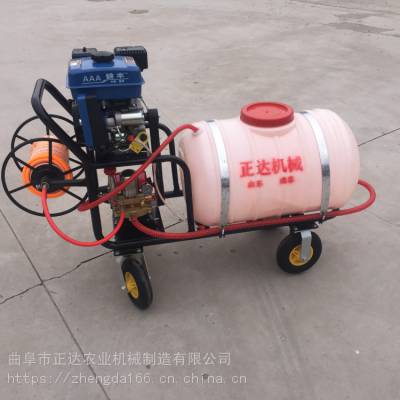 消毒防疫喷雾器 气雾杀毒打药机 防疫手推车汽油高压喷雾器