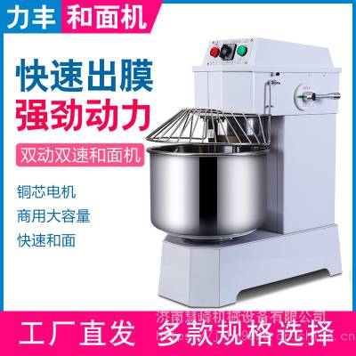 潍坊立式和面机 力丰H30F立式打面机 12.5KG商用双动揉面机