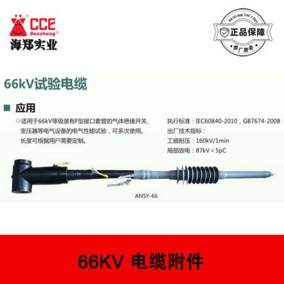 66KVֱͷ