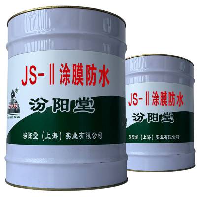 JS-Ⅱ涂膜防水，表面处理：钢材表面做喷砂。JS-Ⅱ涂膜防水
