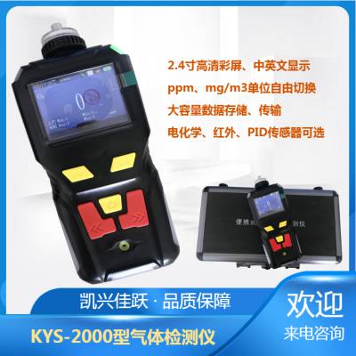 PID光离子有机化合物VOC气体检测仪 KYS-2000系列复合气体分析仪