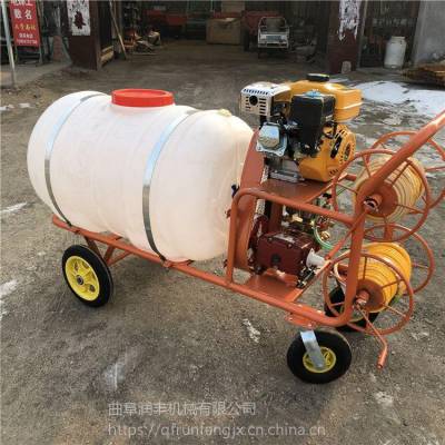 手推式大容量打药机批发 养殖场汽油消毒机 果树葡萄园喷雾器