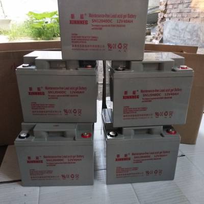 SN12024ϸ12V24AH