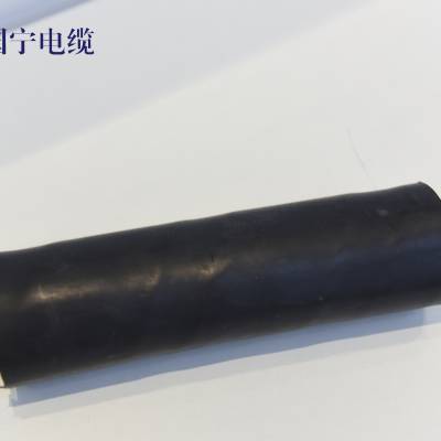 YJLHV 0.6/1KV-2400mm2 Ͻ  ǿ