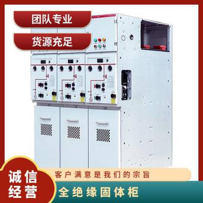 GTXGN全绝缘固体柜 支持 专业 可靠 良好 数量1122 硅橡胶 合格品 周到