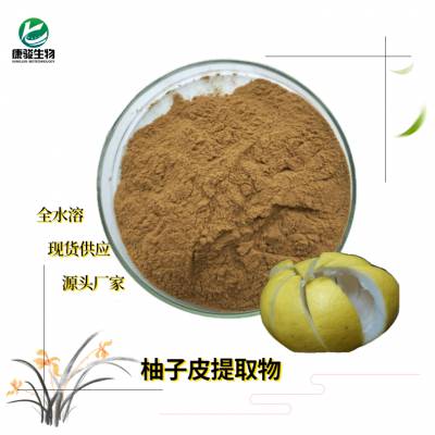 柚皮提取物10:1 柚皮苷 喷雾干燥 柚子皮浓缩粉 现货销售1kg/袋