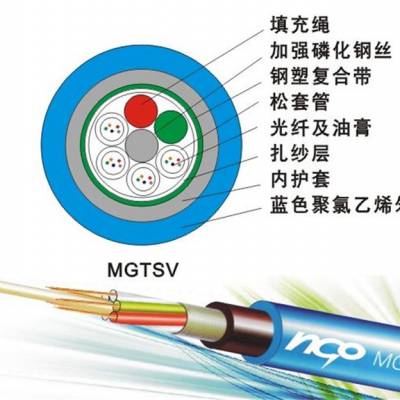 足量足米 直埋矿用光缆型号 MGTSV