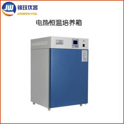 上海菌种箱 生物箱DHP-9052实验设备