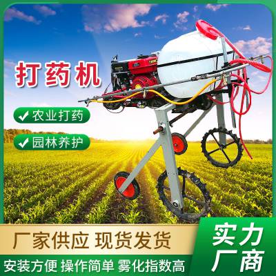 手扶式汽油打药机 农用小型喷杆式喷雾车 自走式高架喷药器