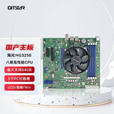 GITSTAR集特 国产海光HG3250八核商务主板GM9-5001-02 电脑主板