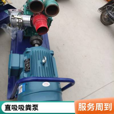 WQ排污泵污水污物潜水电泵大流量抽水泵无堵塞化粪池沼气池抽粪泵
