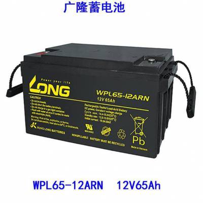 广隆12V40AH蓄电池 LONG高功率免维护储能蓄电池WPL40-12
