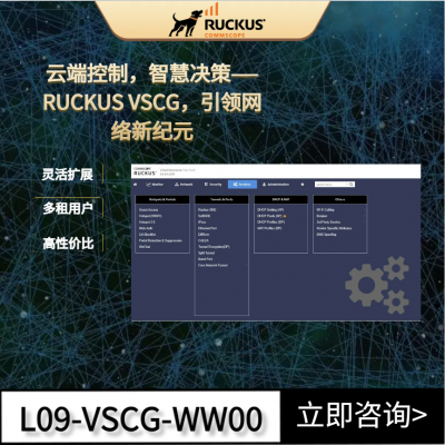 RUCKUS优科软件无线控制器 vSCG/VSZ-H运营商私有云WLAN虚拟控制器