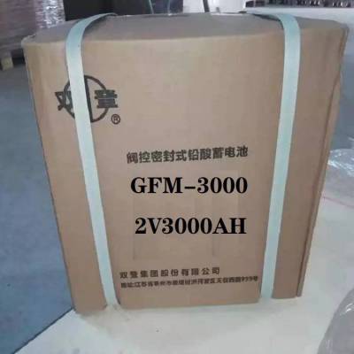 ˫GFM-3000 2V3000AHUPS/EPSֱϵƿϵͳ