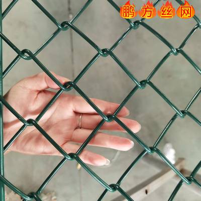 С¥Χ ֲݻ̻п ֳΧ