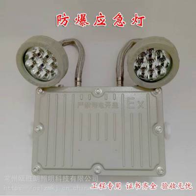BXW6229˫ͷӦBCJ-2X20ӦưȫָʾƳ