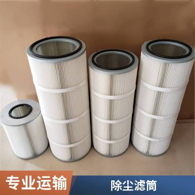 除尘滤芯空气净化滤筒 用于制药行业 325*600 使用寿命长