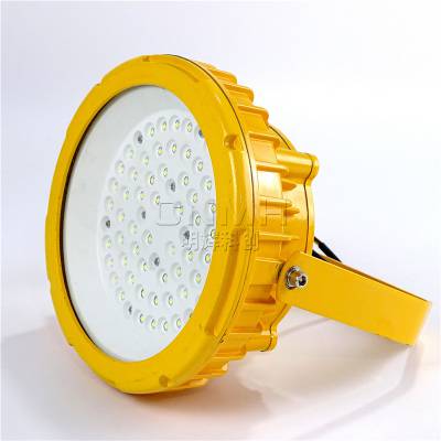LED AC220v24v36v50W40wExdCT6-IP66-WF2