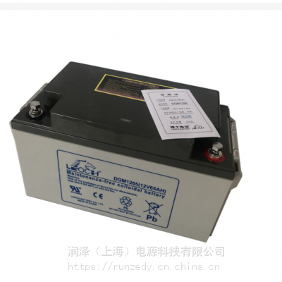 LEOCHʿDGM1265ʽܷ⽺ά12V6***H糧