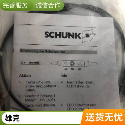 德国SCHUNK 300086 BSWS-SBR-PGZN-PLUS 160