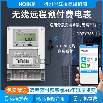 NB-IOT无线远程预付费电表 杭州华立DDZY285-J单相电表 220V