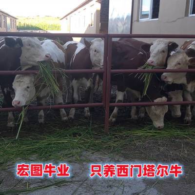 400 2ĸţ ʲôǮ
