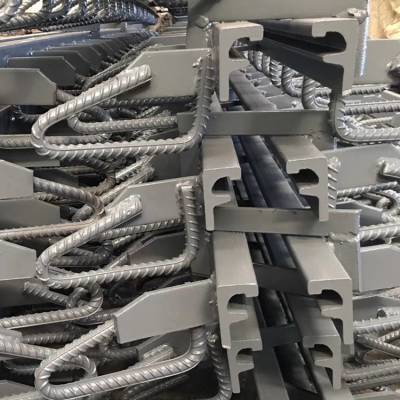 模数式伸缩缝装置 gqf-c60型桥梁伸缩缝 骏拓支持订购