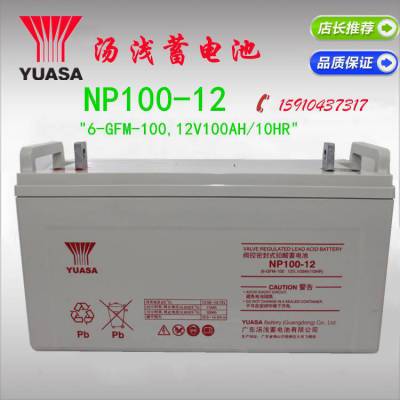 YUASAǳNP100-12 ά Ǧ ̶ 12V100AH