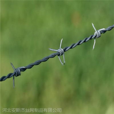 安斯杰刺丝滚笼 铁蒺藜 隔离防护网 2.2mm 圈地防护网