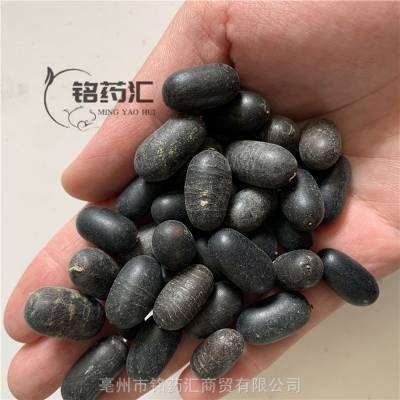 中药材苦石莲老鸦枕头青蛇子猫儿核石花生广石莲子盐棒头果