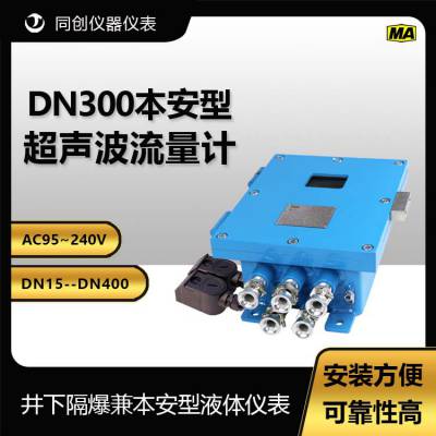 DN300 ó ¸汾 ҺǱ AC95-240V
