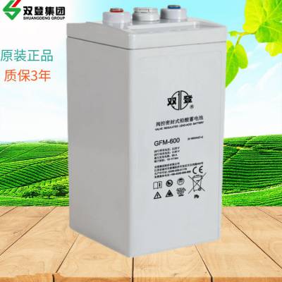 双登蓄电池GFM-600 免维护2V600AH UPS/EPS直流屏备用电池