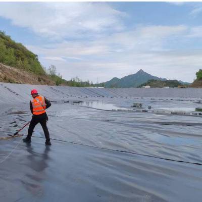 黑色2mm厚HDPE土工膜 双光面聚乙烯防渗膜 山西车间地面防潮隔离层