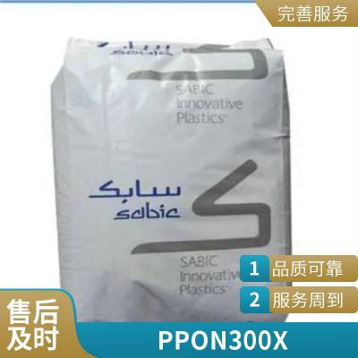 PPO N300X 