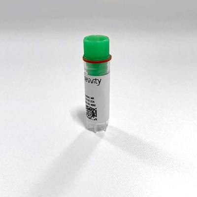 PE hERG K+ Channel membrane preparation