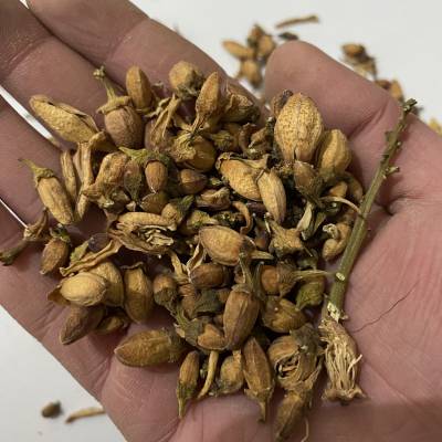 供应中药材佛手花干品新货药材售价包邮