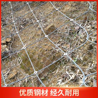 黑龙江山体护坡网 sns主动边坡防护网 山体防落石护坡固土网