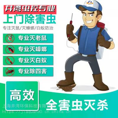 上海松江区防虫防鼠公司静安区灭鼠灭蟑螂餐厅酒店杀虫灭四害服务