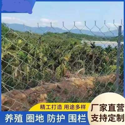 绿化带围栏网 果园pvc包塑铁丝网 绿化勾花网