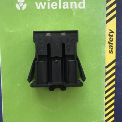 99.440.5802.2 GST18I3S S1 wieland¹ŵ