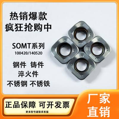 SOMT100420ER-GM专业加工钢件，铸件，不锈钢