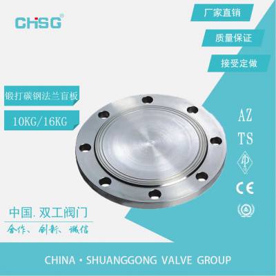 ʹ̼ä巨ǷƬͷ10KG16KGӶͷǰDN40-300