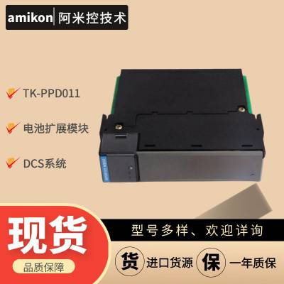 9662-110ϵͳESDϵͳTRICON