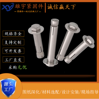 不锈钢膨胀螺丝 膨胀钩 膨胀吊环 沉头十字内膨胀 地板膨胀